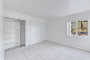 carpeted bedroom with large closets